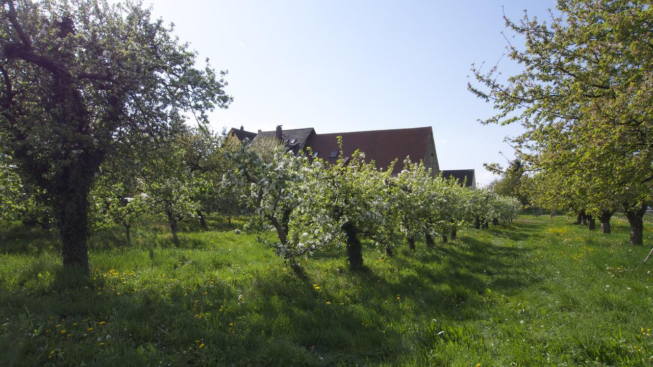 Zum Schwanen Garni Hotel Buggingen Buitenkant foto